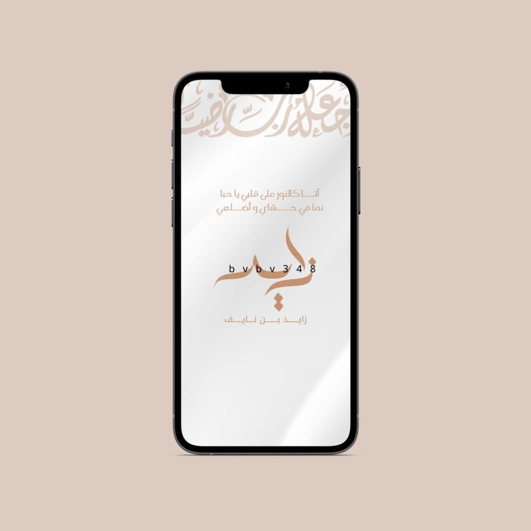فلتر فيدو (4)