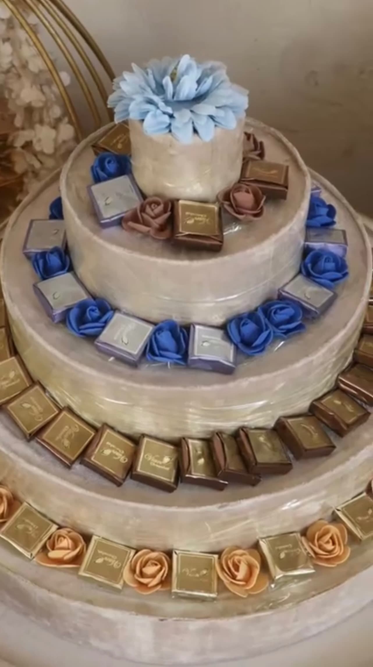 بوكس بونتي
